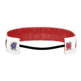 ダンジョンとドラゴンズクラスサイコロデザイン アスレチックヘッドバンド