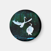 ダンスエレガントのエグレット