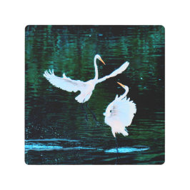 ダンスエレガントのエグレット メタルプリント