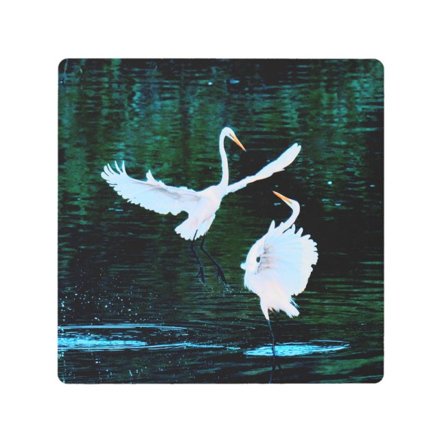 ダンスエレガントのエグレット メタルプリント (正面)