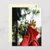 ダンスフロアの垣間葉書 ポストカード (正面/裏面)