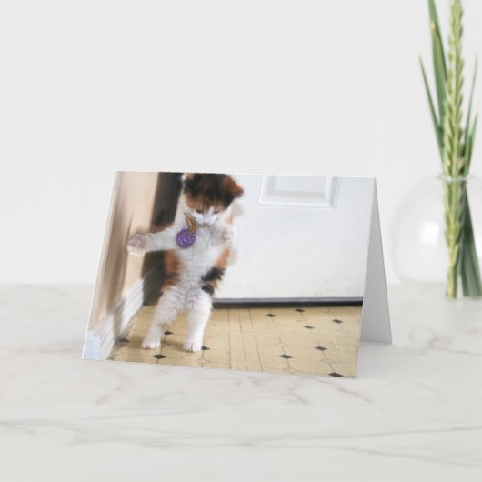 ダンス カード (正面)