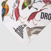 ダンス 薄葉紙 (詳細)