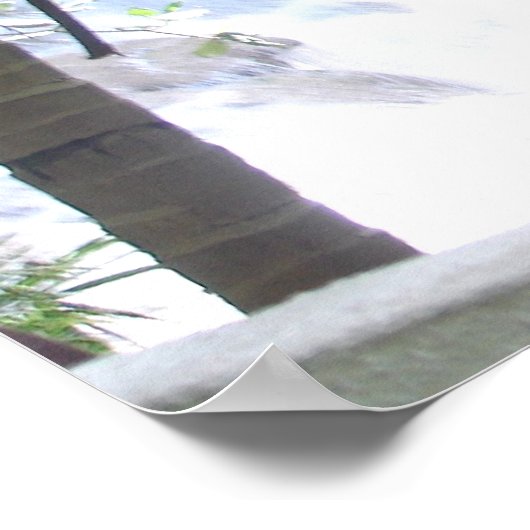 ダンズリバー滝 ポスター (角)