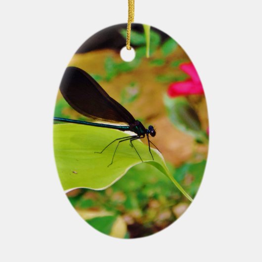 ダンセルフライとバラ セラミックオーナメント (正面)