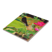 ダンセルフライとバラ タイル (側面)