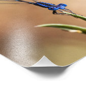 ダンセルフライのダンス フォトプリント            (角)