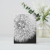 ダンダリオン ポストカード (スタンド正面)