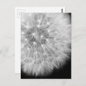 ダンダリオン ポストカード (正面/裏面)