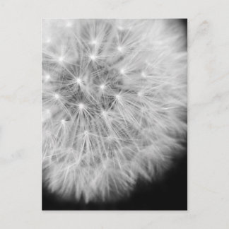 ダンダリオン ポストカード