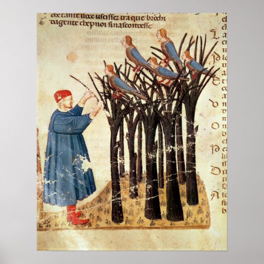 ダンテと魂が鳥に ポスター (正面)