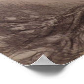 ダンテガブリエルロセッティ – デイドリーム ポスター (角)