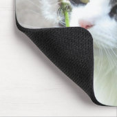 ダンディな"ライオン"か。 マウスパッド (コーナー)