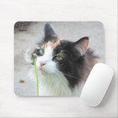 ダンディな"ライオン"か。 マウスパッド (マウス)