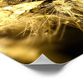 ダンディアナのポスター ポスター (角)