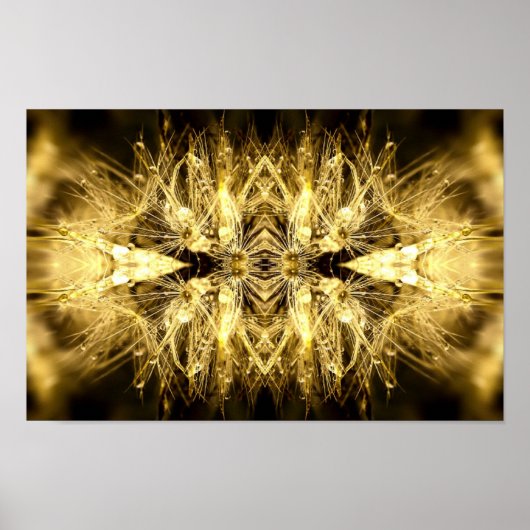 ダンディアナのポスター ポスター (正面)