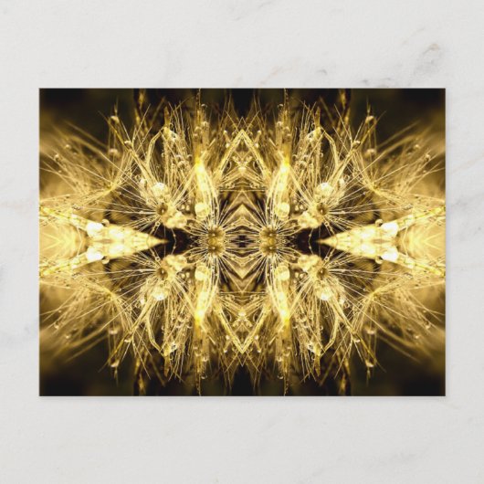 ダンディアナはがき ポストカード (正面)