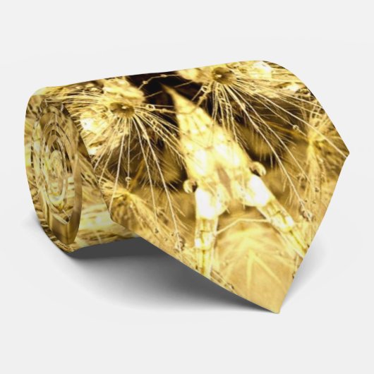 ダンディアナ・タイ ネクタイ (ロール)