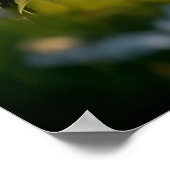 ダンディディディンモントテリアをピクニックに ポスター (角)