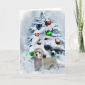 ダンディディディンモントテリアクリスマス シーズンカード (正面)