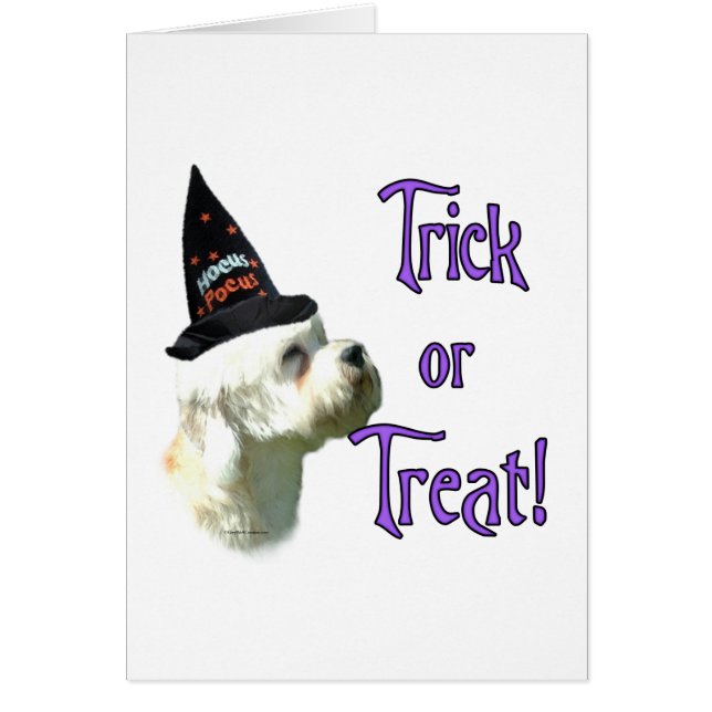 ダンディディディンモントテリアトリック (正面)