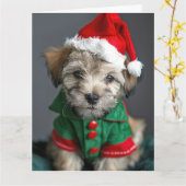 ダンディディディンモントテリア小妖精や小人パピークリスマスカード カード (黄色い花)