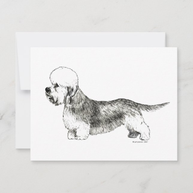 ダンディディンモントテリア (正面)