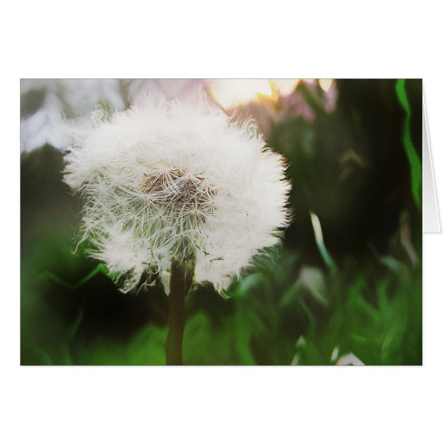 ダンディドリームカード (正面横)