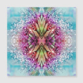 ダンデカラフルリオン (正面)