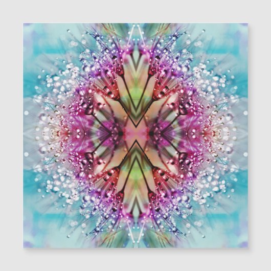 ダンデカラフルリオン (正面)