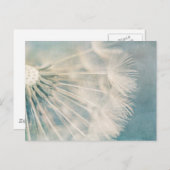 ダンデグランジリオン ポストカード (正面/裏面)