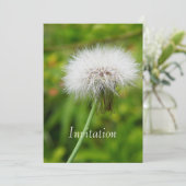 ダンデライオン招待状 招待状 (スタンド正面)