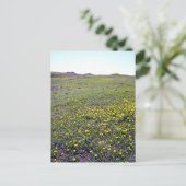 ダンデリオンの葉書の分野 ポストカード (スタンド正面)