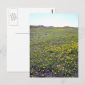 ダンデリオンの葉書の分野 ポストカード (正面/裏面)