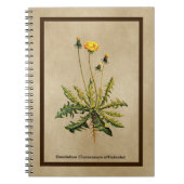 ダンデリオンオールド紙 ノートブック (正面)