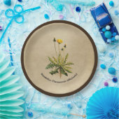 ダンデリオンオールド紙 ペーパープレート (パーティー)