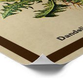 ダンデリオンオールド紙 ポスター (角)