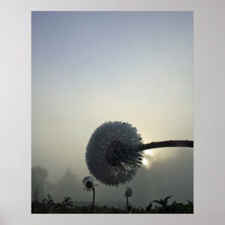 ダンデリオンドーン ポスター