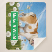 ダンデリオン犬 シェルパブランケット (正面)