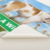 ダンデリオン犬 シェルパブランケット (3/4)