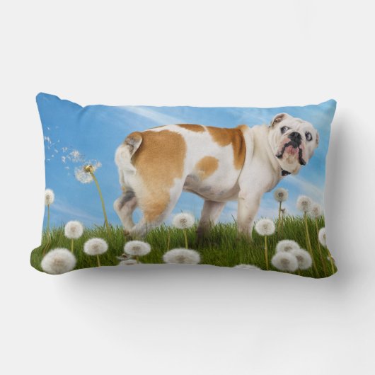 ダンデリオン犬 ランバークッション (正面)