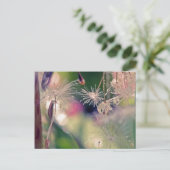 ダンデリオン聖堂 ポストカード (スタンド正面)