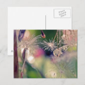 ダンデリオン聖堂 ポストカード (正面/裏面)