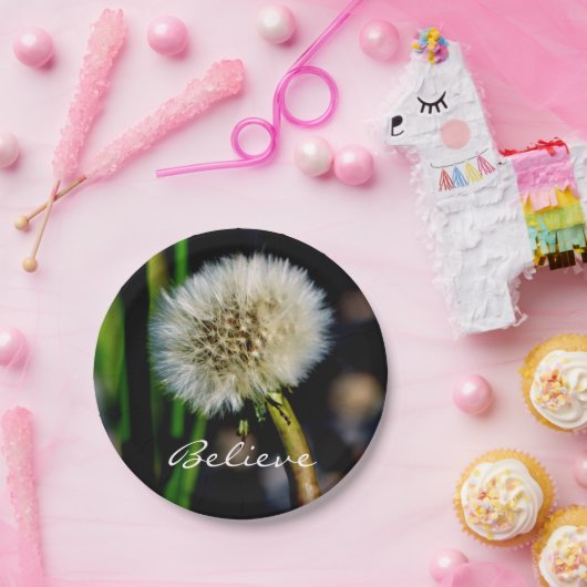 ダンデリオ信じン、お願いする ペーパープレート (パーティー)