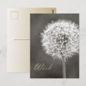 ダンデロンの願い ポストカード (正面/裏面)