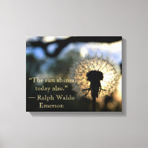 ダンデロン写真