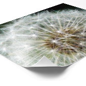 ダンドリ フォトプリント            (角)
