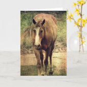 ダンニット カード (黄色い花)