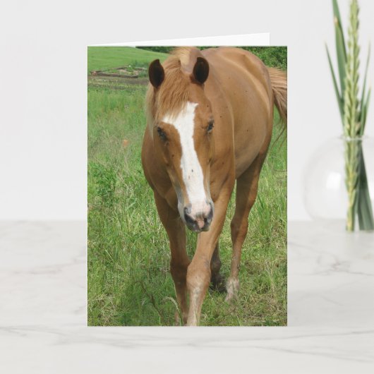 ダンニット カード (正面)