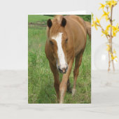 ダンニット カード (黄色い花)